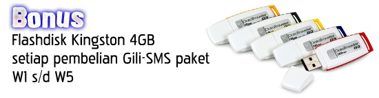 Bonus Flashdisk 4GB