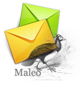 update-maleo-2013