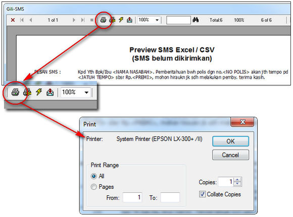 preview-sms-print